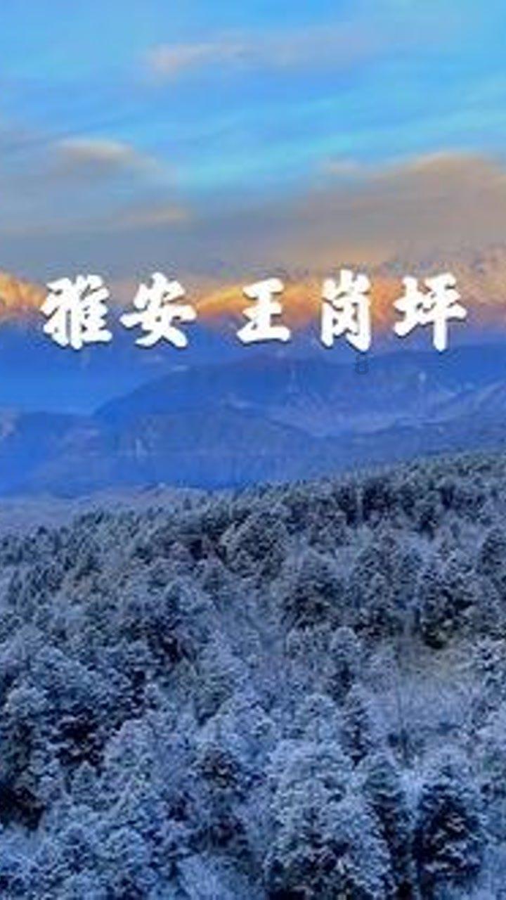 88影视